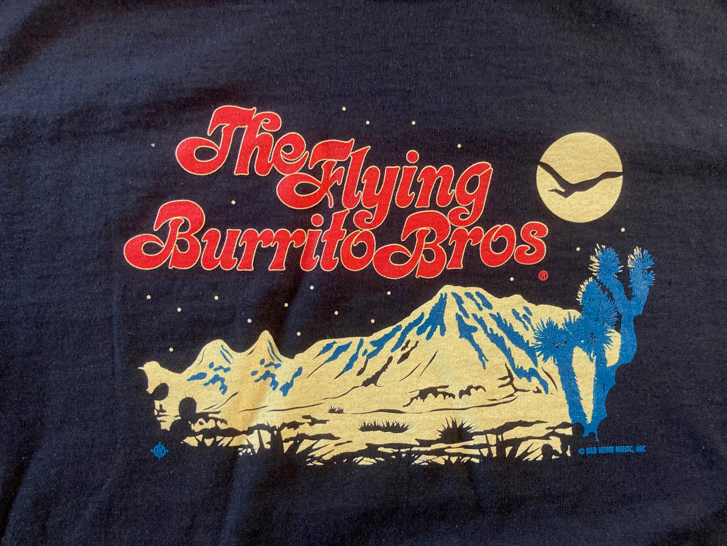 Flying Burrito Bros Desert Night Logo Tee